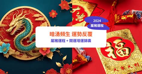 2024運程豬|【屬豬2024生肖運勢】暗湧頻生，運勢反覆｜屬豬運 